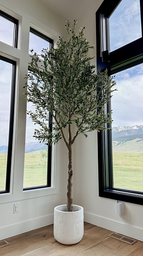 4K views · 12 reactions | Tree upgrade!! ✨ Comment “shop” for links!...