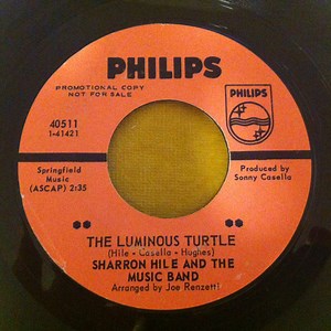 Sharron Hile And The Music Band - The Luminous Turtle