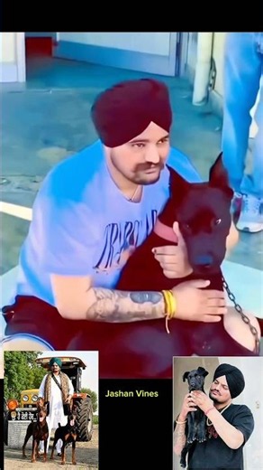 Miss You Both Bai 💔 #shorts #sidhumoosewala #trending #viralvideo #shortsfeed #ytshorts #legend