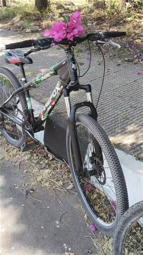 #my#Love#MTB# Firefox# Viper#