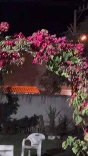 No vendaval,cada flor acesa é uma coragem silenciosa.