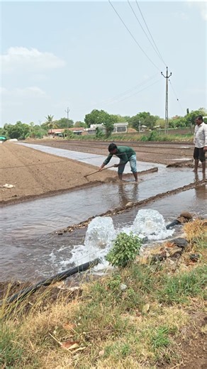 Agriculture work #shorts
