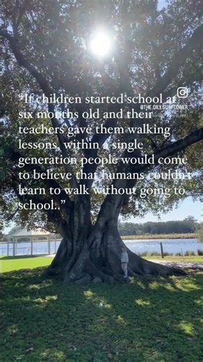 Self directed learning following Quinns inner compass is how... #Shorts #allypeterson__