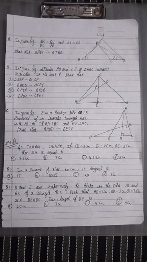 class-10 Math Ch-6 Triangle (most important questions for board exam)@pw