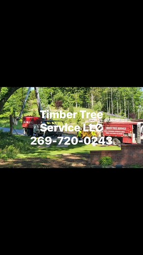 We provide residential tree trimming, removal and stump grinding in the Grand Rapids area. Fully insured, 20 years experience. Call or text Bill Casper for a free estimate 269-720-0243 | Timber Tree Service LLC