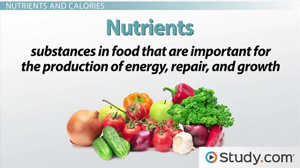 Simple & Complex Carbohydrates | Definition & Examples