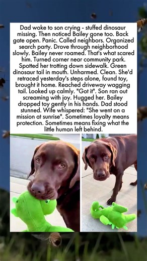 Bailey Wasn't Lost She Was Completing Assignment