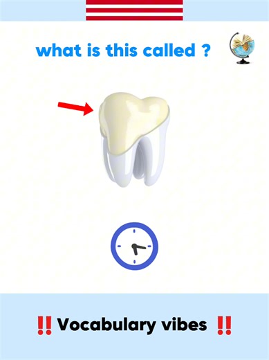 Essential English Vocabulary Words for Everyday Use