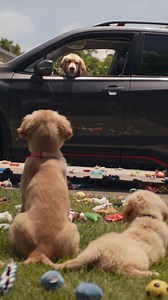 #SubiePups might be a little bit extra. 😉 🐾 For more of #TheBarkleys click ~ https://youtube.com/playlist?list=PL9C5C8FE3C88141FC&si=0E5LNdLqQoYH0hdD #SubaruForester #DogTestedDogApproved | Subaru of America, Inc.