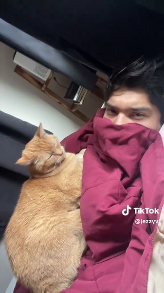 Can’t ever lay on my back too long around her. #simba #orangecatbehavior #scritches #orangecat