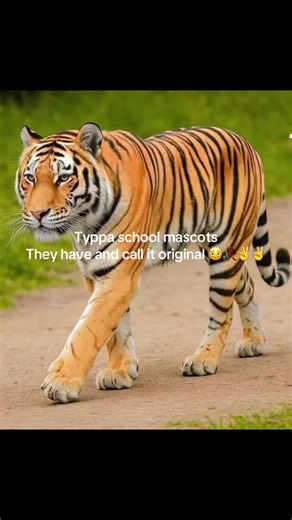Panther School Mascot Spotlight: Originality and Respect