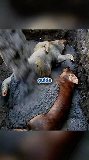🧱😱 Can you hide a body in solid concrete?