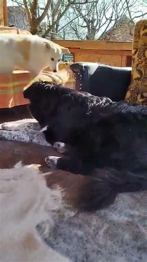 Neues von Berti 03-26