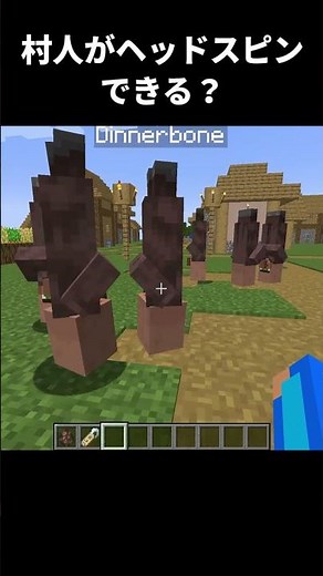 【マイクラ】村人がヘッドスピンｗｗｗｗｗ