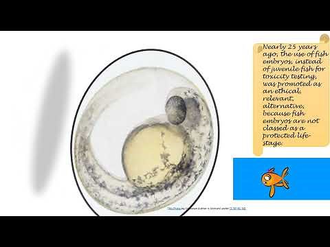 Strengthening weight of evidence for fish embryo toxicity data to replace fish acute toxicity tests