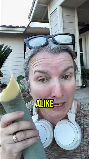 Gopher destroyed her garden 😳 🎥 @partlysunnyprojects