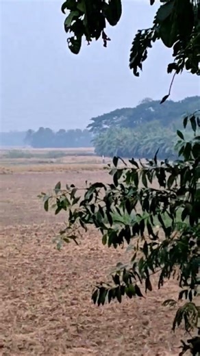 Camera Testing redmi turbo 4 pro.