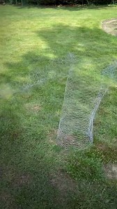 1.2K views · 69 reactions | Chicken Wire Ghost Tutorial! Check out my Patreon for Spooky Tutorials year round - $3 gets you every episode! #Halloween #Augtober #DIY #TrustTheProcess #ChickenWireGhost #Ghost #Spooky #Boo #Halloween2023 #Art #Artist #ArtistsOnInstagram #ArtistsOnPatreon | Brandon Hardy | Facebook