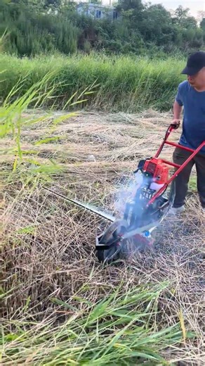 Stop Trimming Manually! (Must-Watch Tool) 🚧🤯