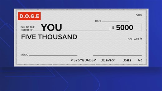 Government savings check? Here's the latest on proposed DOGE payouts