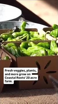 'Pay-What-You-Can' farm stand in Encinitas helps those facing food insecurity