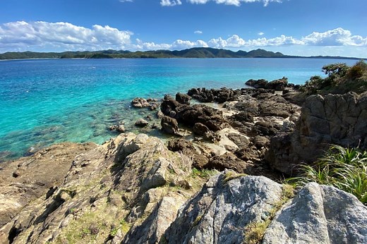Amami Oshima Island, Kyushu | Japan‘s Local Treasures | Travel Japan （JNTO）