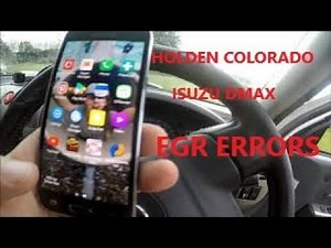 Holden / Isuzu 2009 3.0 EGR Error P0403, P0404 etc