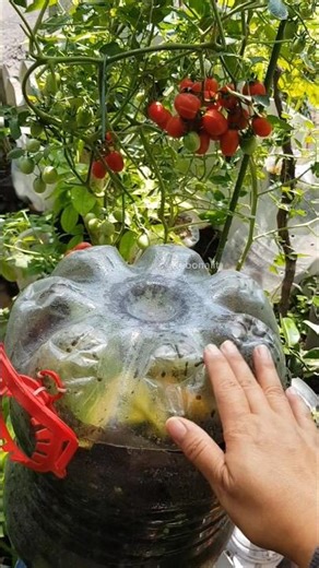 Zero-Cost Gardening‼️ How to Build Your Own DIY Composter