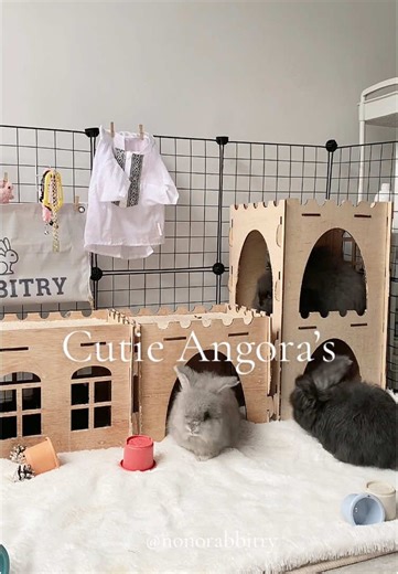 NonoRabbitry on TikTok