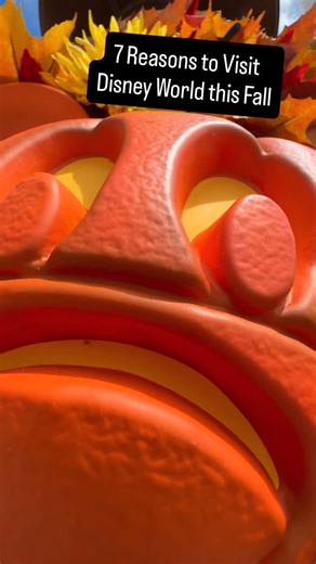 🍁✨ 7 Reasons to Visit Disney Parks This Fall! ✨🍁 From Mickey pumpkins on Main Street to the return of Mickey’s Not-So-Scary Halloween Party — fall is the most magical time of year at Disney! 🎃🧡 Think food festivals, festive parades, reimagined rides, and autumn vibes everywhere you turn. Which reason are you most excited about? #VisitOrlando #DisneyFallMagic #DisneyParks #EPCOTFoodAndWine #MickeysNotSoScary #HauntedMansionVibes #FallAtDisney #TogetherWeAreMagia #DisneyReel #DisneyHalloween #