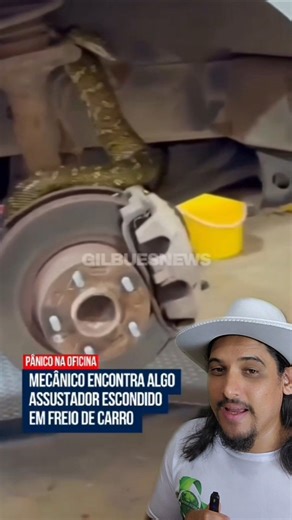 Giant snake spotted inside a car! / Carpet python