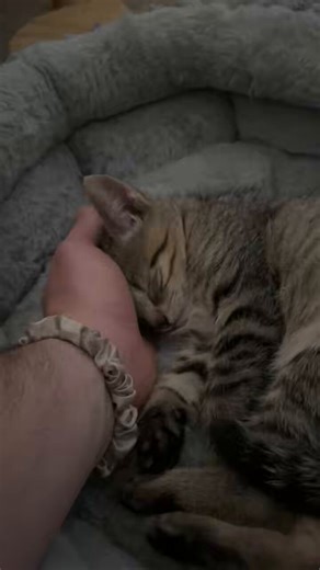 All this sleeping just for him to bite my ear at 3am