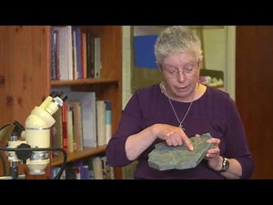 Eureka Moments: Professor Jenny Clack