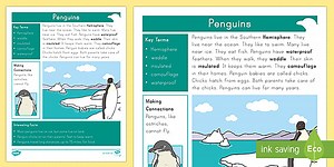 Kindergarten Penguins Fact File
