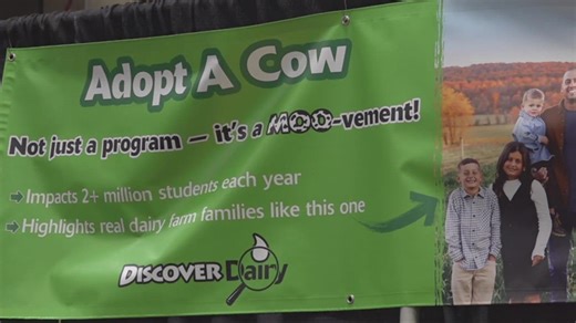 Students meet the cows adopted through Adopt-a-Cow program