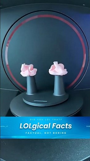 Custom Molded Earphones are Better 🎧 | Silicone Ear Molds Explained