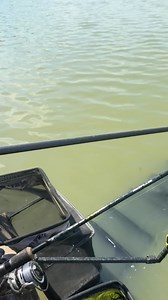 10K views · 143 reactions | Unde, cand si la ce ai prins ultima oara Lin?  | Fish Matrix | Facebook