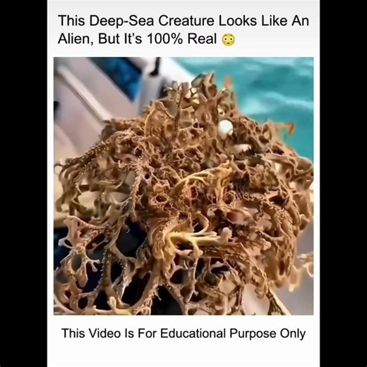 alien grass..😱😱 #shorts #youtube