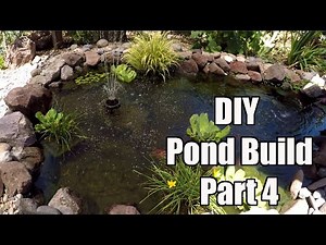 DIY Backyard Pond Build! Part 4 of 4 | Adding Water, Pond Filtration, Water Fountains, Plants & Fish