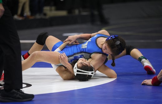 State wrestling tournament placewinners from southeastern Minnesota