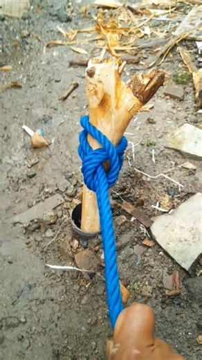 Simple and practical knot 💯 #knot #rope #diy #shorts