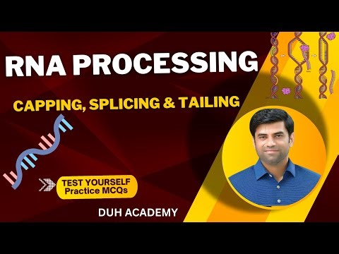 Overview of Eukaryotic mRNA Processing/5' capping and mRNA Splicing/Biology lecture