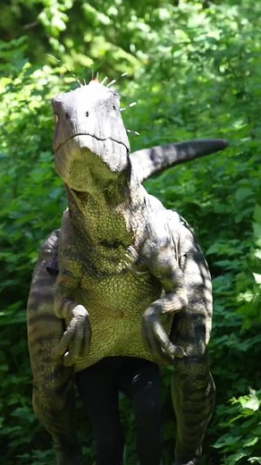 Steven Schapiro on TikTok