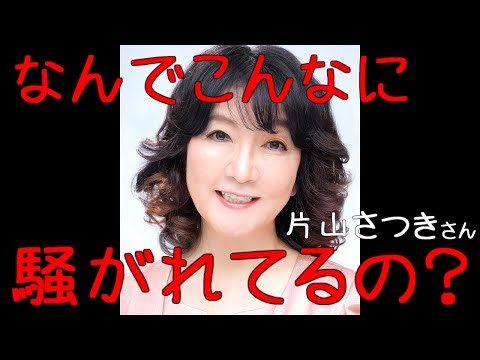 片山さつきってどうして騒がれてるの？ 恥ずかしくて聞けないシリーズVol.5 #片山さつき #高市早苗 #財務省 #政治