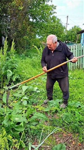 The Art of Using a Scythe #diy #scythe #grasscutting #skills #homestead #gardening #shorts #short