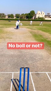Noo ball or not #america #English #sports #australia #usa #reelsviralシ #cricket | AmanGhar City Cricket Club