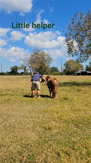 Cornerstone Stables Drafts on Reels