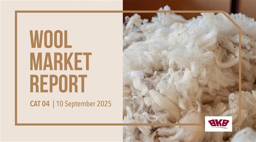 Watch the latest BKB Wool Market Report for CAT04, held on the 10th of September 2025. - Hear from Leon du Plessis and Jacques Taljaard as they discuss the latest market developments and highlight the top prices from this week’s wool sale. - The next sale will take place on the 17th of September 2025, whereby catalogue 5 will be offered. - #BKBLtd #BKBFibre #BKBWool #BKBRWS #RWS #Wool #BKBWoolAuction | BKB