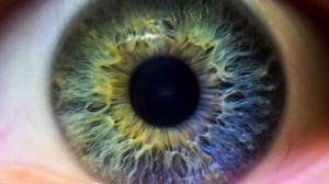 Are aliens among us?