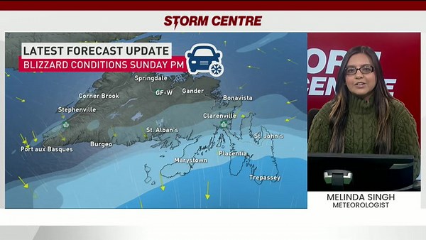 Blizzard conditions for Newfoundland as Nor'easter tracks in Sunday